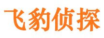 定结市侦探调查公司